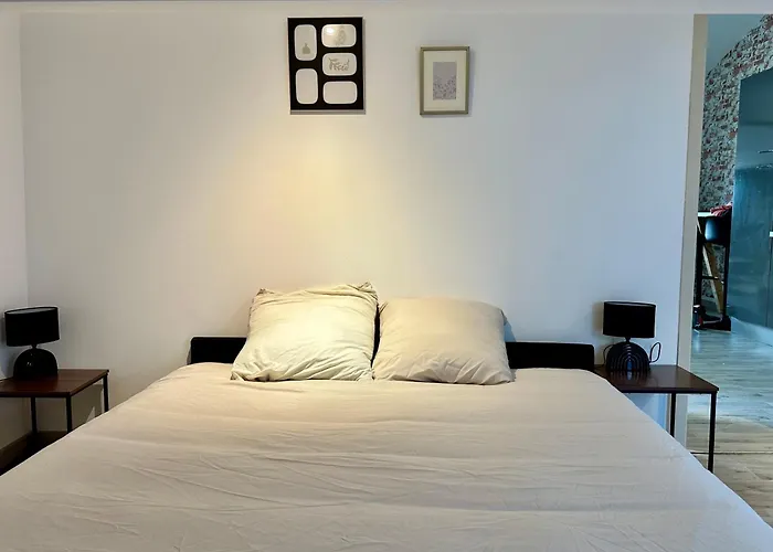 Le Rooming Loft - Centre Lejlighed *